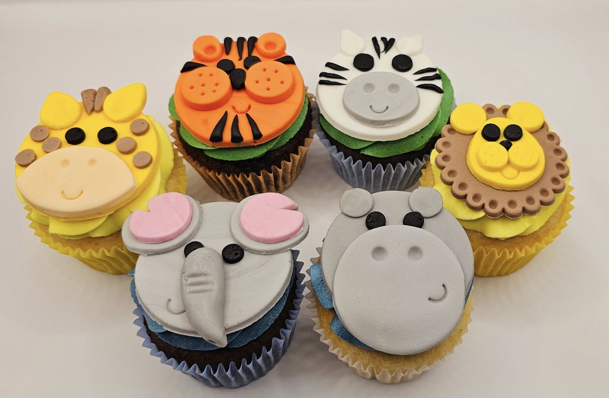 Colourful animal themed cupcakes by Hayley's Cupcakes